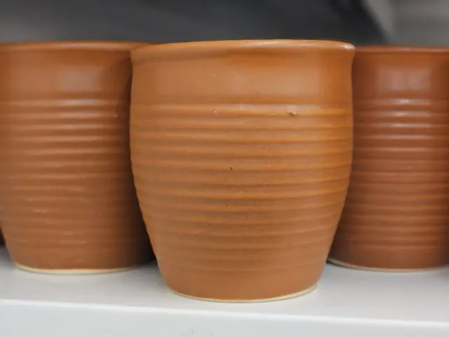 Clay Kulhad Cups — Set of 4